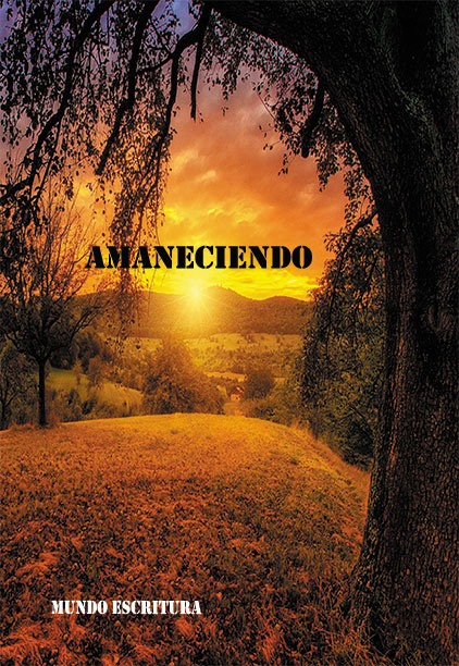 libro Amaneciendo