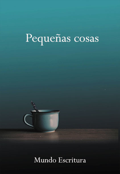 libro Pequeñas cosas