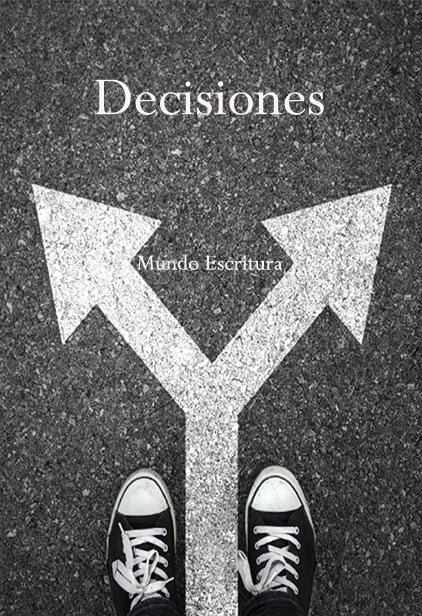 libro Decisiones